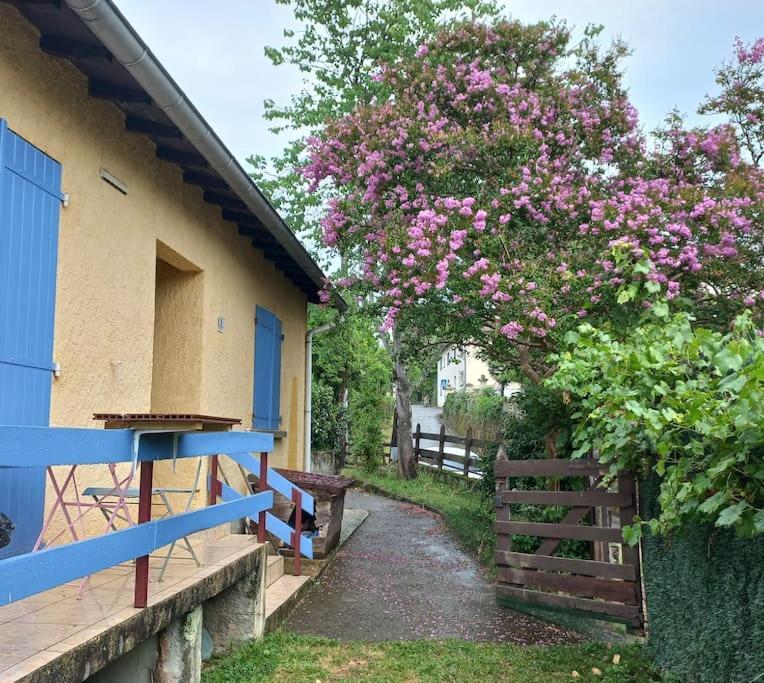 Maison Au Pied De La Montagne Aspet المظهر الخارجي الصورة