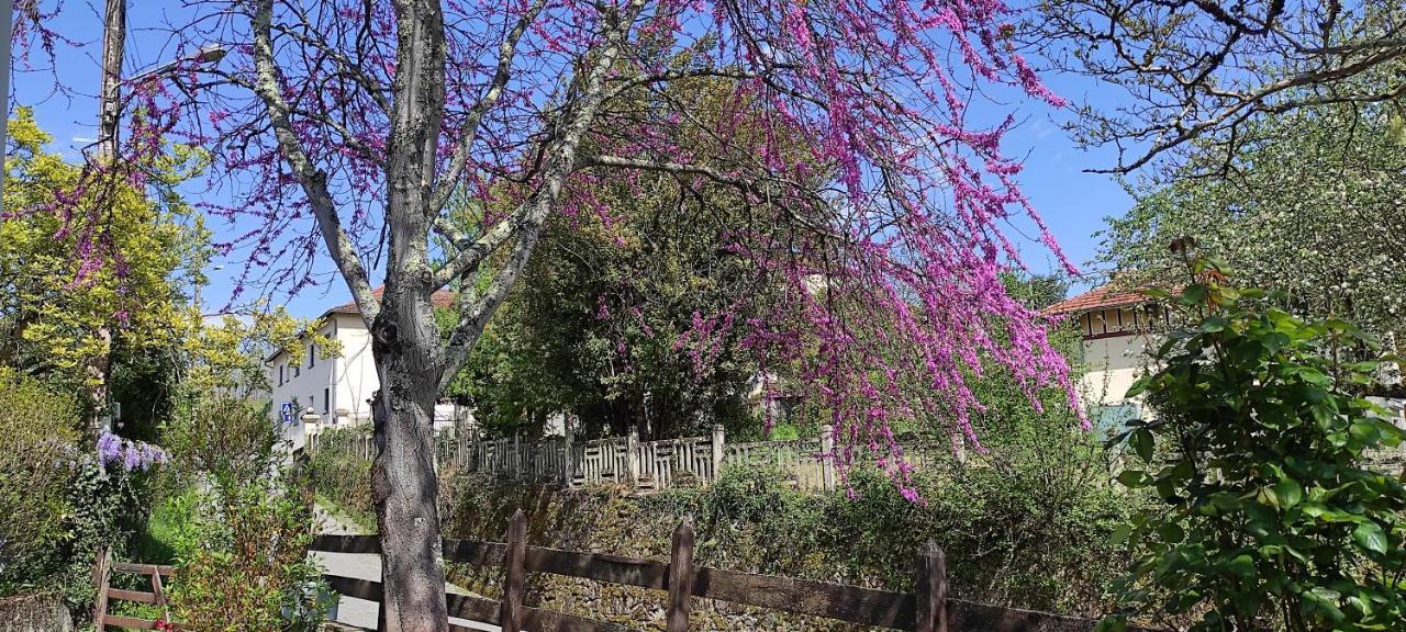 Maison Au Pied De La Montagne Aspet المظهر الخارجي الصورة