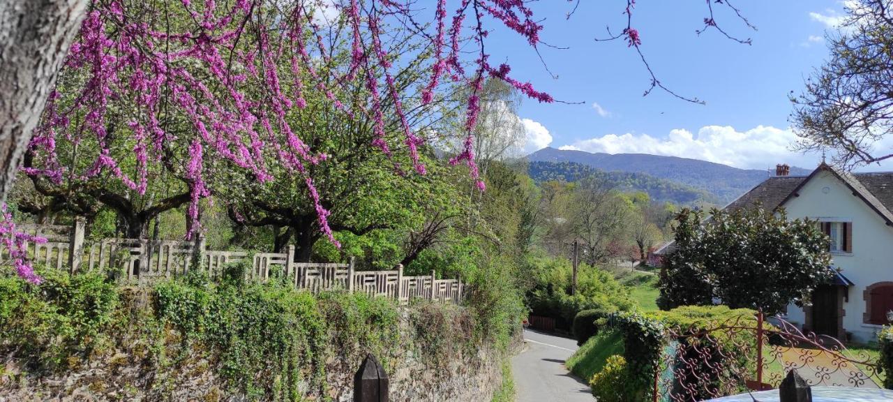 Maison Au Pied De La Montagne Aspet المظهر الخارجي الصورة